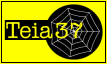 www.teia37.com.br - O seu site do jeito que você quer.